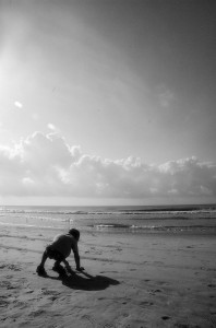 d-beach-morning